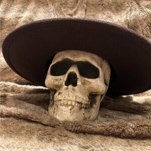 Elegant Brown Women's Hat